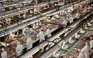 Peças de Reposição e Sob Medida Para o Setor Alimentício